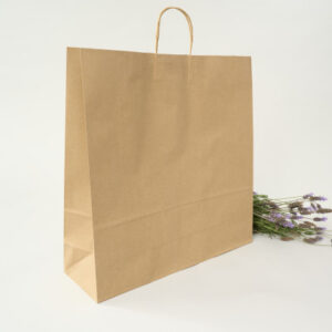 Bolsa papel kraft grande