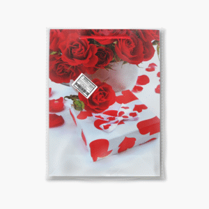 PAQ 12 BOLSAS REGALO DAMA 24X18 CM DISEÑOS SURTIDOS