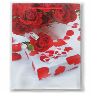 PAQ 12 BOLSAS REGALO DAMA 40X32 CM DISEÑOS SURTIDOS